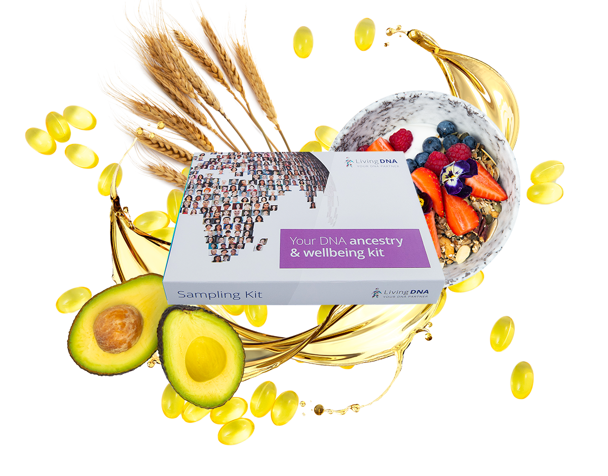Vitamin response, food metabolism & nutrition