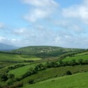 Can you find out if you have Irish ancestry?