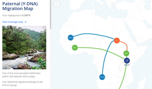 Deep paternal and maternal lineage reports